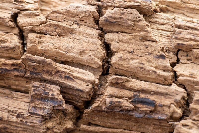 A close-up view of a rock fracture